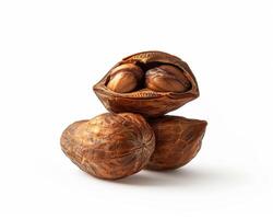 nut shell with nuts on white background photo