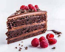 a piece of chocolate cake with raspberries on top photo
