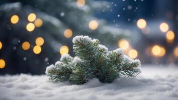 Beautiful winter background image of frosted spruce branches and small drifts of pure snow with bokeh Christmas lights and space for text. photo