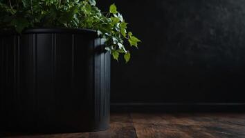 A black trash can stands in front of a black wall with green ivy leaves, mockups. photo