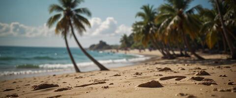 Art summer holiday on tropical sea sandy beach background , with empty copy space. photo