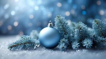 Light blue Christmas or New Year festive background with frosty fir branches. photo