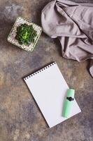 Blank open notebook for writing, pen, succulent in pot and fabric on workplace top and vertical view photo