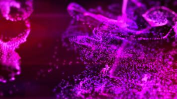 Fluid pink and purple particles flowing beautiful abstract background, Liquid and light with depth of field. video