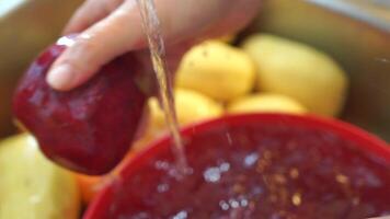 Vegetables in the sink, hands wash vegetables under a stream of water from a tap. Preparation Ukrainian borscht, peeled carrots, beets, and potatoes are seen being washed in a sink. video