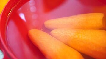 A bowl of water with three carrots floating in it video