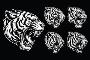 Dark Art Tiger Beast Angry Head with Sharp Fang Black and White Illustration vector