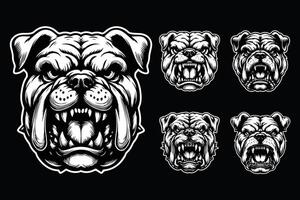 Dark Art Vicious Angry Beast Bulldog Head with Sharp Teeth Black and White Illustration vector