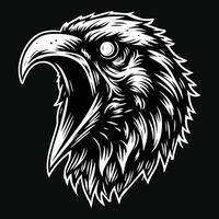 Dark Art Scary Angry Crow Head with Sharp Beak Black and White Illustration vector