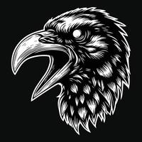 Dark Art Scary Angry Crow Head with Sharp Beak Black and White Illustration vector