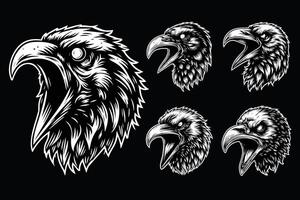 Dark Art Scary Angry Crow Head with Sharp Beak Black and White Illustration vector