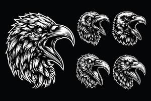 Dark Art Scary Angry Crow Head with Sharp Beak Black and White Illustration vector
