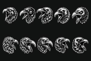 Dark Art Scary Angry Crow Head with Sharp Beak Black and White Illustration vector