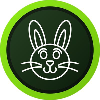 Rabbit Creative Icon Design