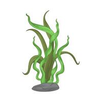 Illustration of seaweed vector