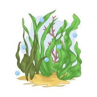 Illustration of seaweed vector