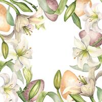White lily Christian symbol watercolor isolated on white. White flower and stem botanical Illustration hand drawn. Floral Easter frame and eggs in gentle color . Design for invitation, Easter card. vector