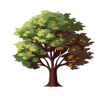Greenery tree foliage nature growth icon isolated vector