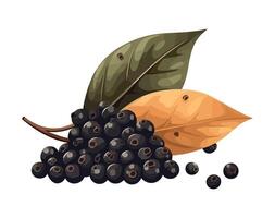 Juicy berry bunch ripe for healthy snacking icon isolated vector