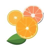 Fresh citrus fruits slices juicy icon isolated vector