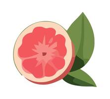 Juicy grapefruit slice, symbol of freshness icon isolated vector