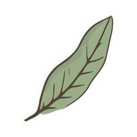 Fresh herb and spice for healthy cooking icon isolated vector