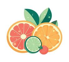 fresh citrus fruits, freshness to summer icon isolated vector