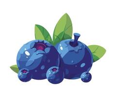 blueberries fresh fruit and leaf icon isolated vector