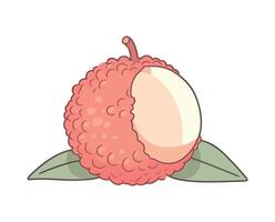 lychee fruit with leaves nature icon isolated vector