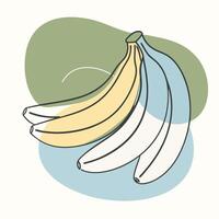 Bananas continuous line drawing illustration vector
