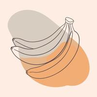 Bananas continuous line drawing illustration vector