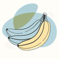 Bananas continuous line drawing illustration vector