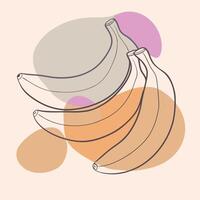 Bananas continuous line drawing illustration vector