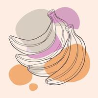 Bananas continuous line drawing illustration vector