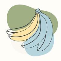 Bananas continuous line drawing illustration vector