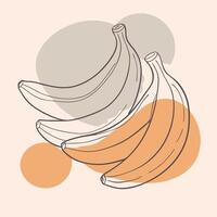 Bananas continuous line drawing illustration vector