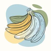 Bananas continuous line drawing illustration vector