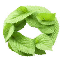 Spearmint leaves spinning in a cool refreshing spiral Mentha spicata Food and Culinary concept png