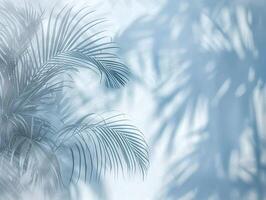 A leafy palm tree casts a shadow on a blue wall photo