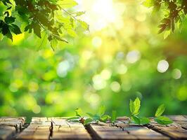 A bright green leafy tree with a sunny day photo