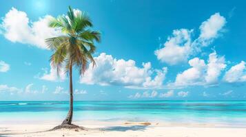 A palm tree is standing on a beach with a clear blue sky photo