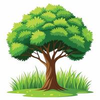 Tree sketch art illustration white background vector