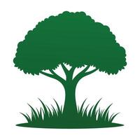 Tree sketch art illustration white background vector