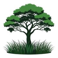Tree sketch art illustration white background vector