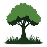 Tree sketch art illustration white background vector