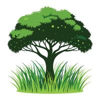 Tree sketch art illustration white background vector