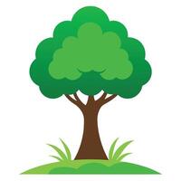 Tree sketch art illustration white background vector