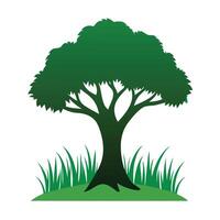 Tree sketch art illustration white background vector
