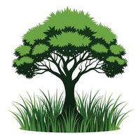 Tree sketch art illustration white background vector