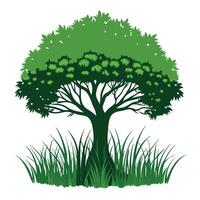 Tree sketch art illustration white background vector